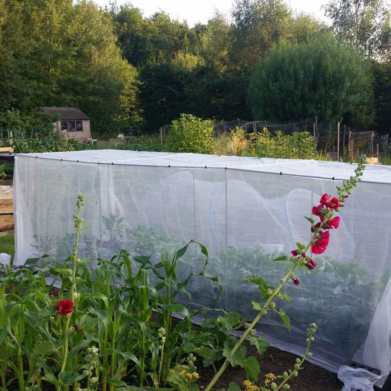 Heavy Duty 19mm Fruit and Veg Cage 1.2m High