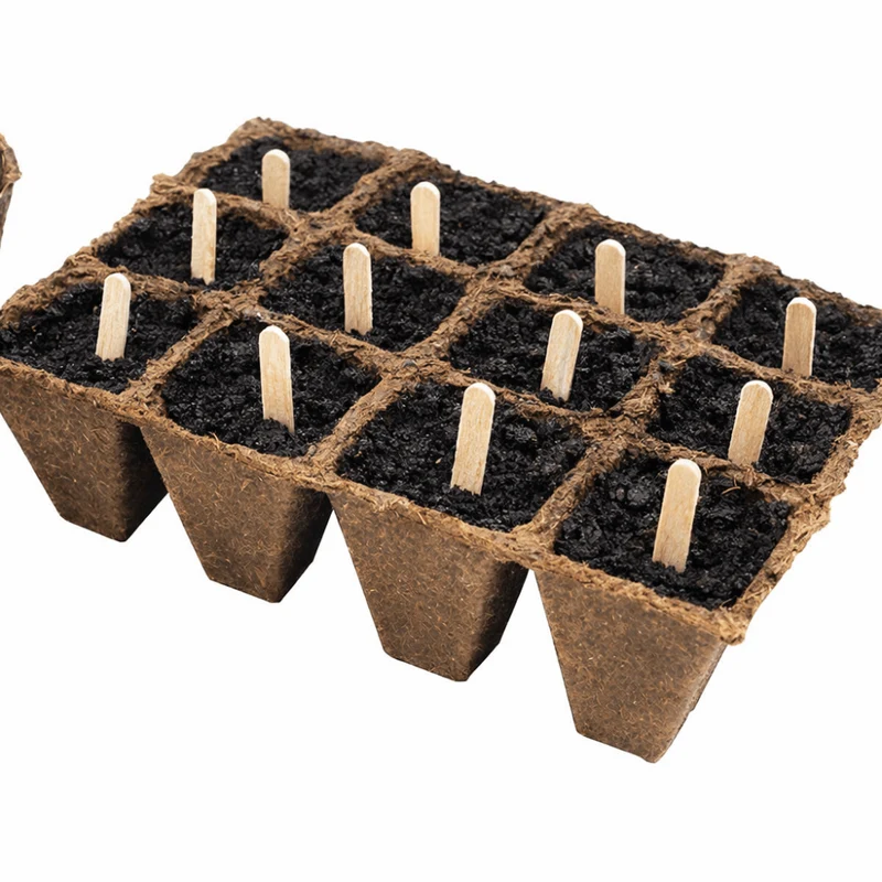 Wooden Plant Pins for Seed Trays (Choice of 100 or 300)