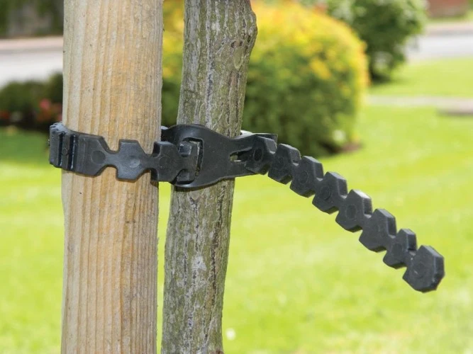 Växtstöd Trädband 57cm - 2st