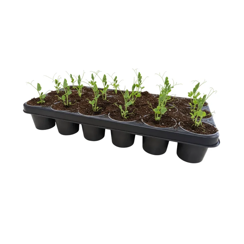 Shuttle Tray with Pots