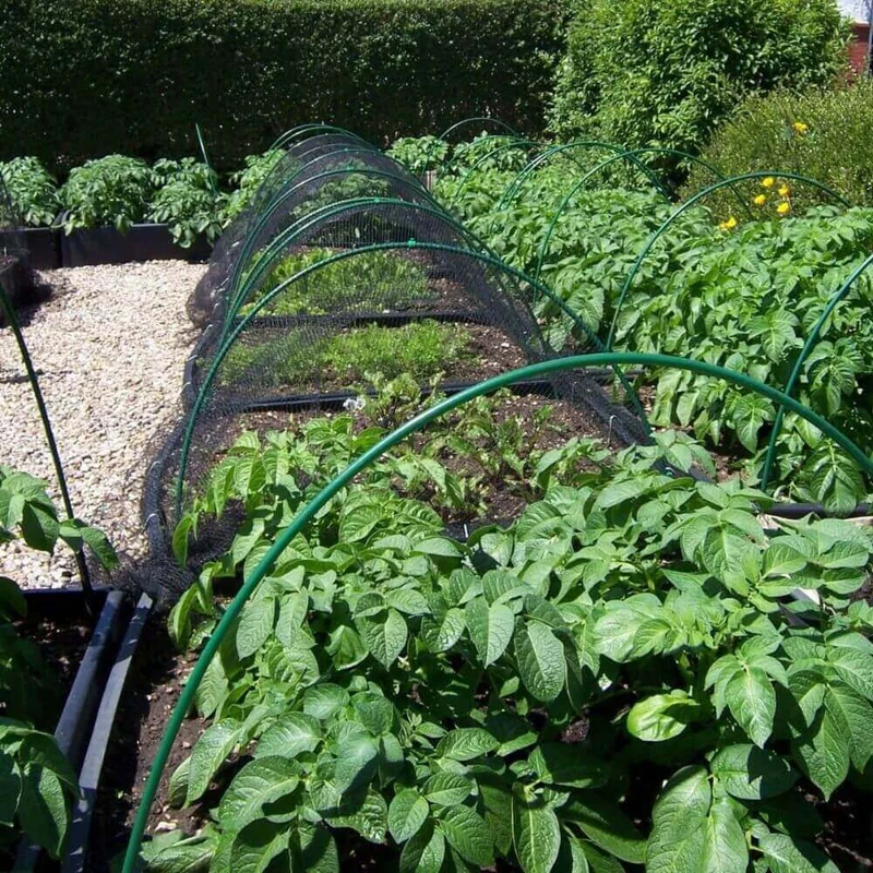 Garden Netting Tunnels And Cloches For Plants