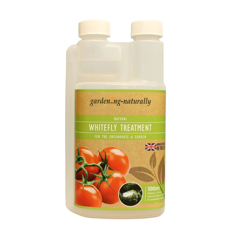 Whitefly Treatment a Natural Product