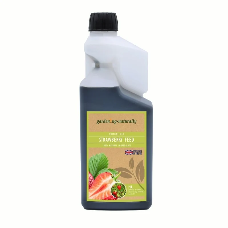 Strawberry Feed Liquid Organic Concentrate