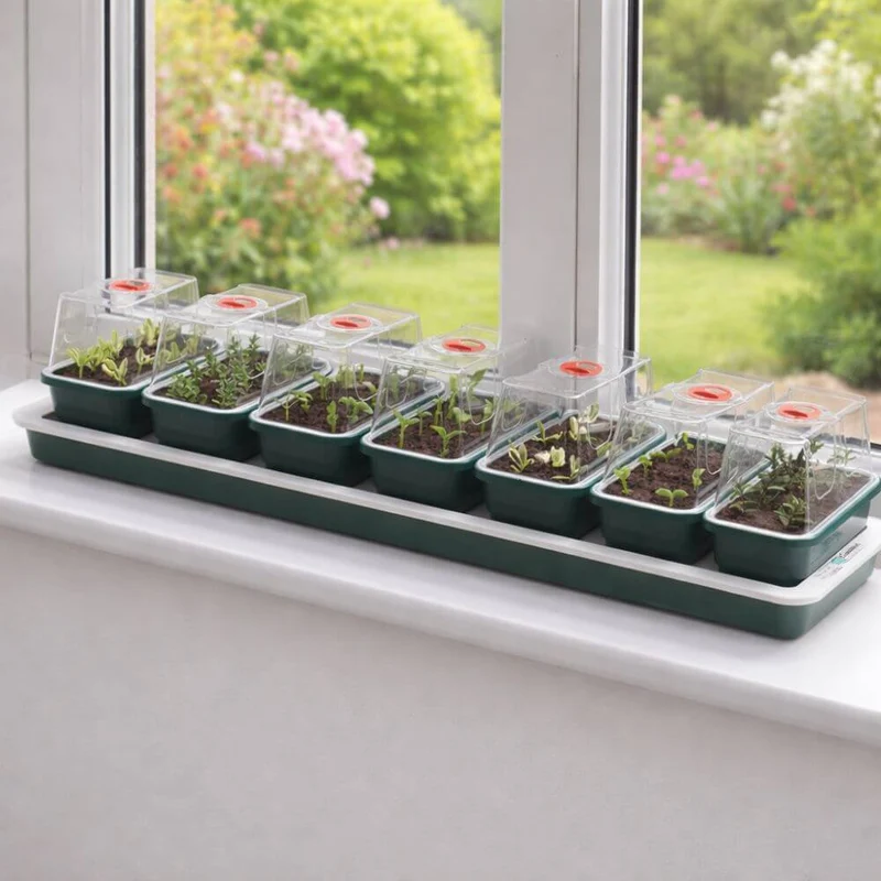 Self Watering Propagator For Windowsill Seed Starting