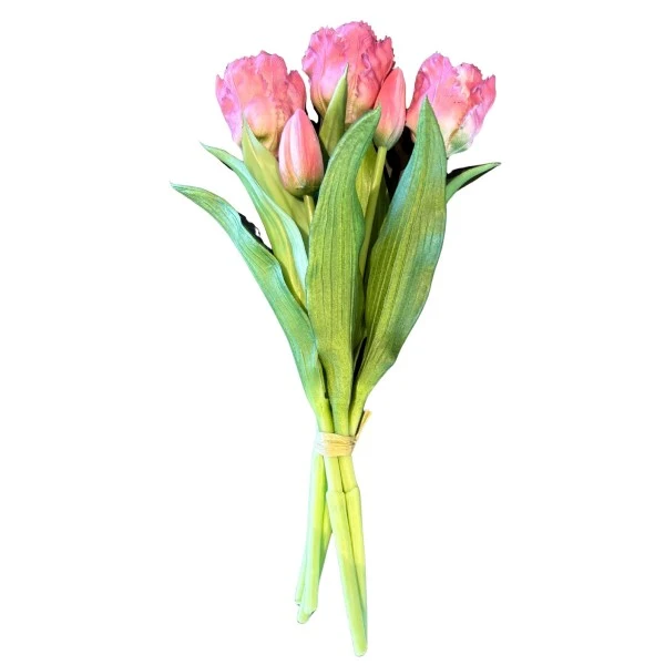 PARROT TULIP BOUQUET-5 DARK PINK 30CM