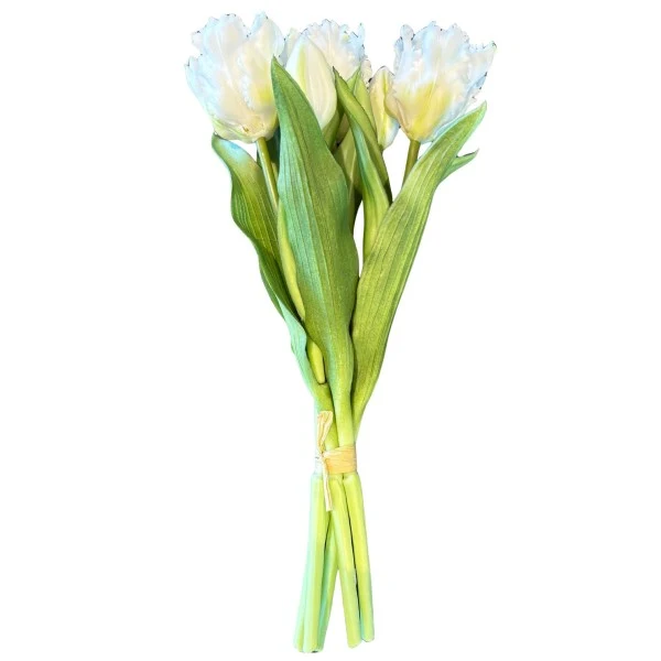 PARROT TULIP BOUQUET-5 WHITE 30CM