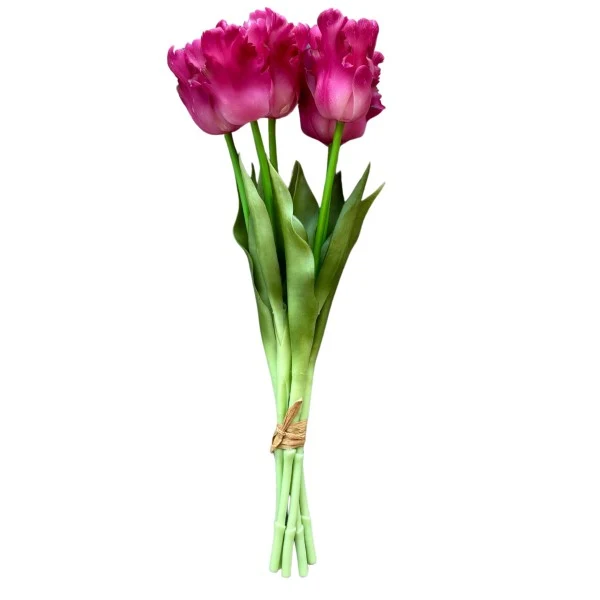 PARROT TULIP BOUQUET-5 DARK PINK 45CM