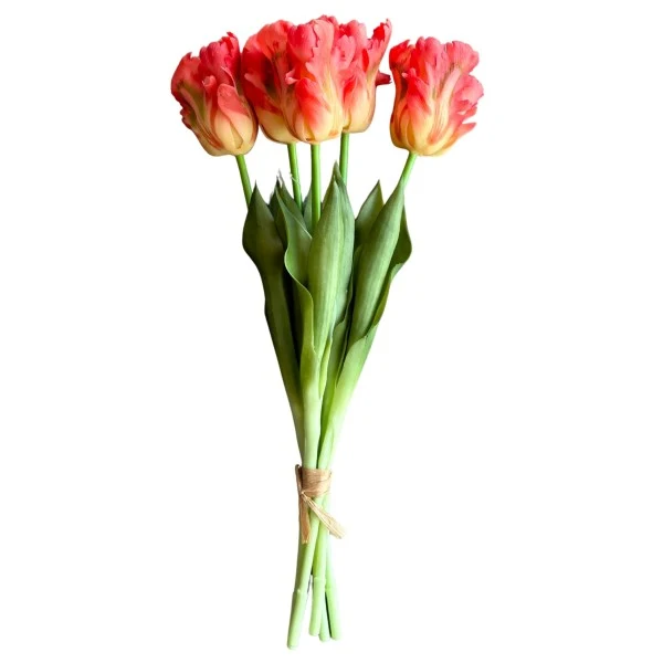 PARROT TULIP BOUQUET-5 ORANGE 45CM