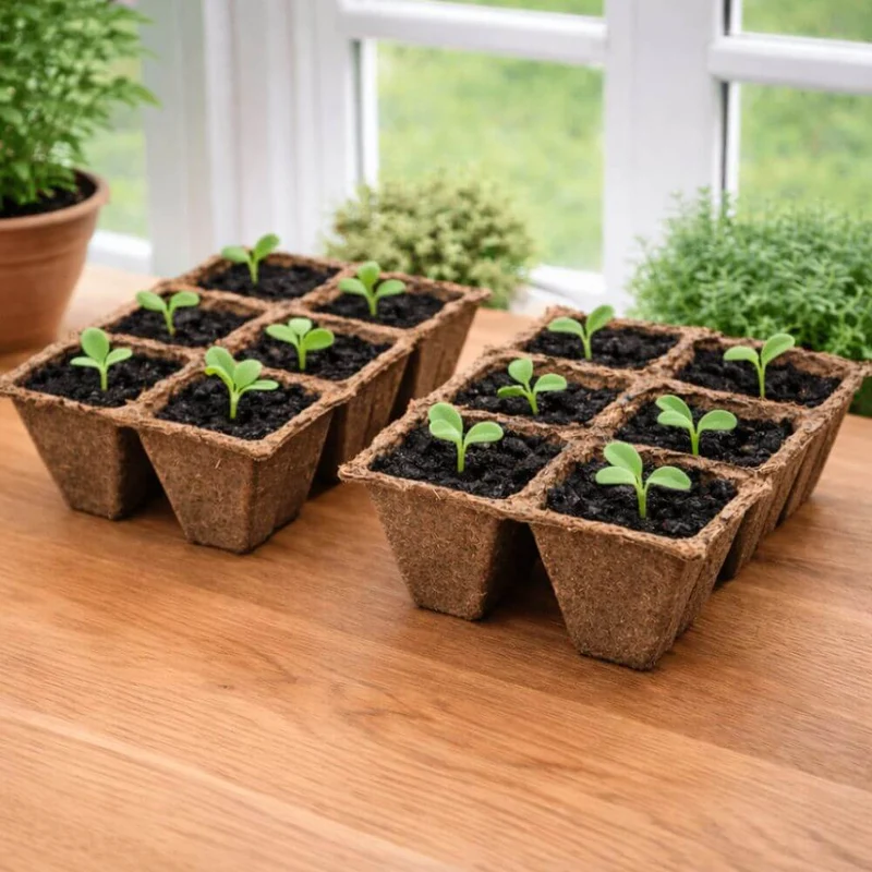 Biodegradable Seed Trays Made from Wood Fibre 72 Cells