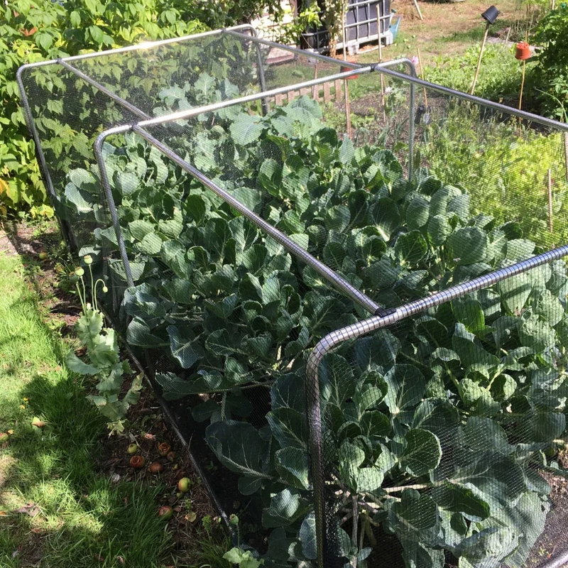 Garden Hoop Support Bars