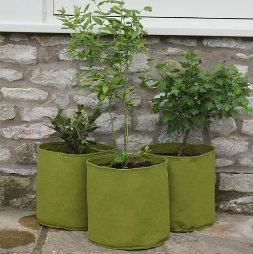 Vigroot Planter Pots( Pack of 3)