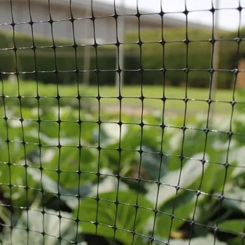 Poultry And Fruit Cage Netting For Gardens And Crops