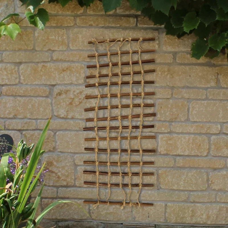 Willow Trellis with String Plant Support