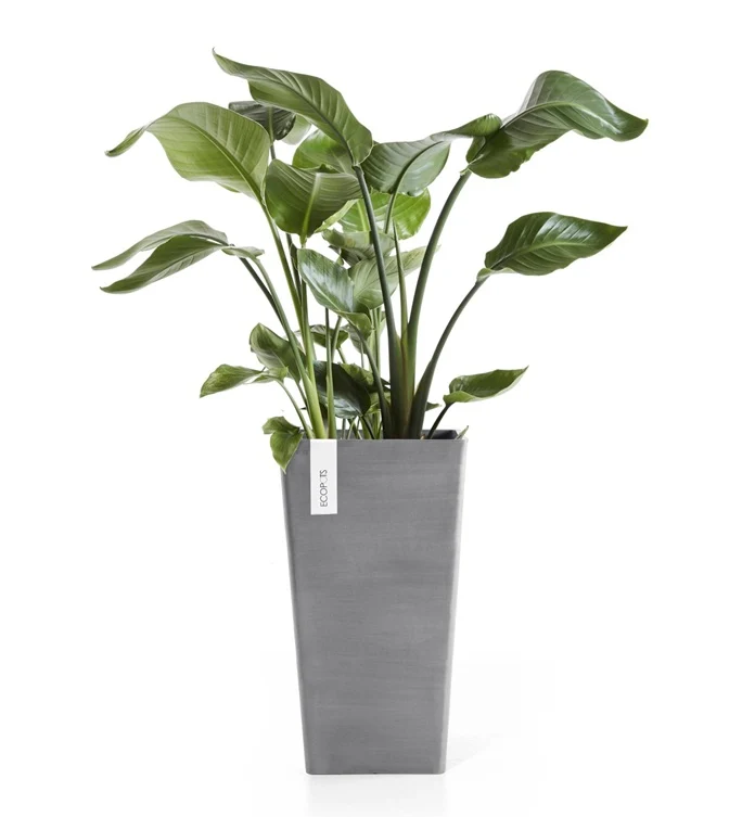 Kruka 'Rotterdam Mid High 56' Grey H56,5cm