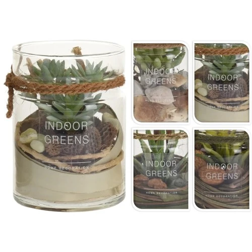 Succulent i Glasburk 1st