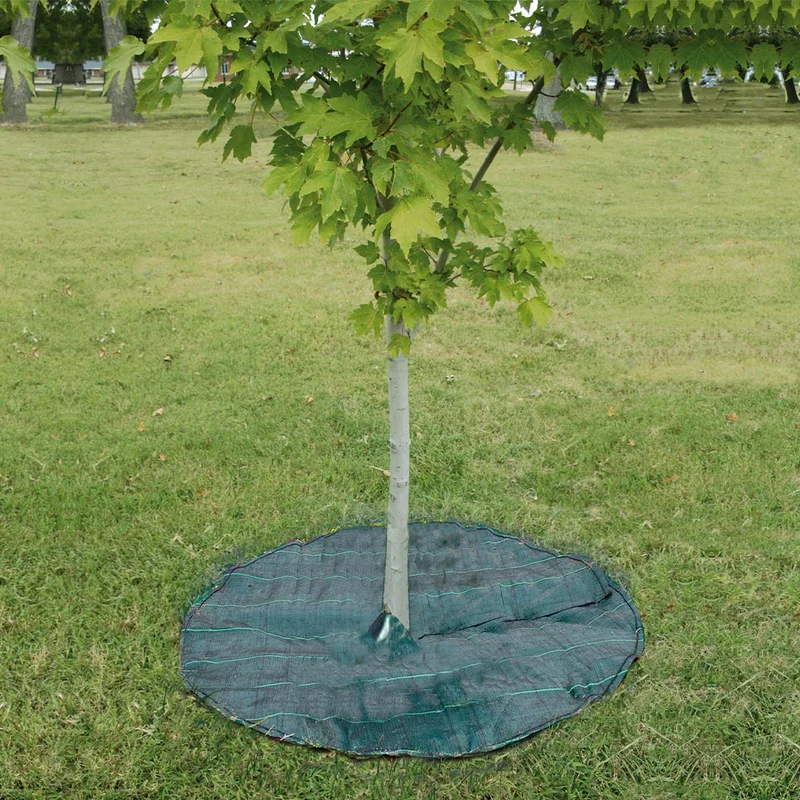 Dewitt Circle Tree Mat