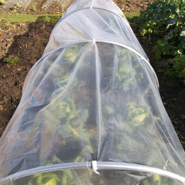 Clear UV stablised Polythene