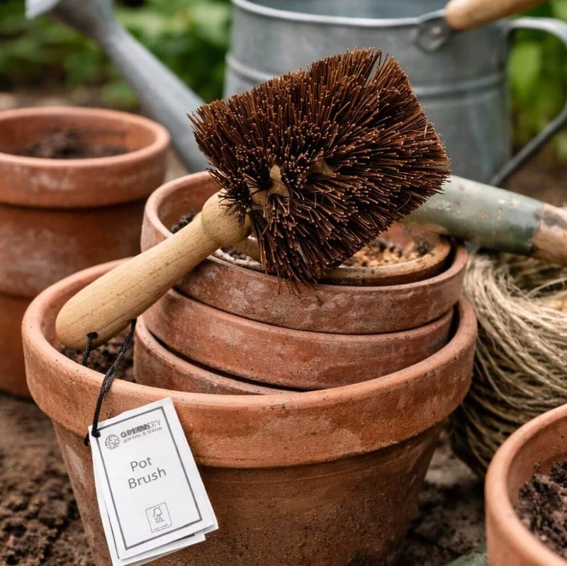 Wooden Cleaning Brush FSC Certified for Garden Pots