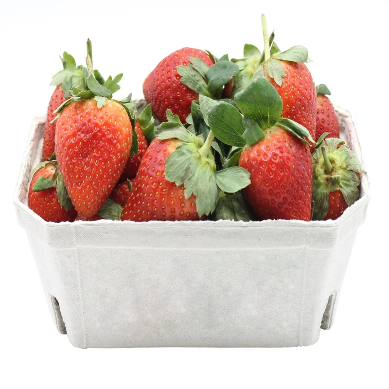Fruit Punnets Produced From Moulded Fibre In The UK