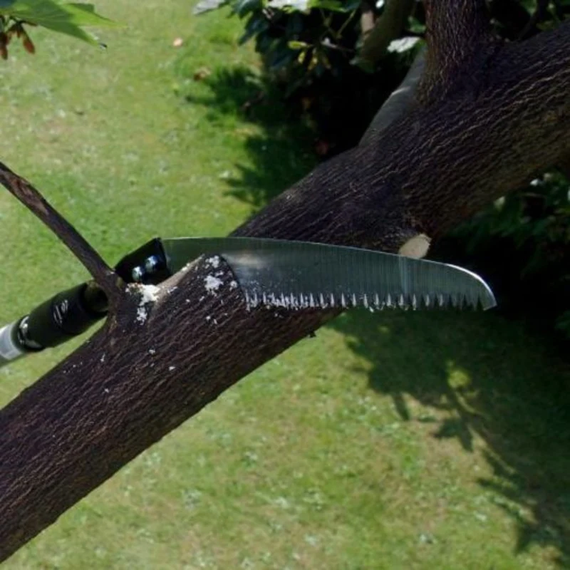 Swop Top Sabre Tooth Saw – Darlac DP565 for Pruning