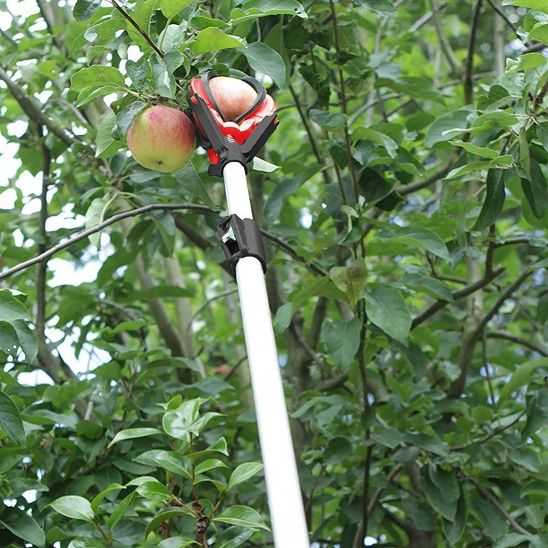 Telescopic Fruit Grabber | Extendable Fruit Picker Tool Darlac DP540