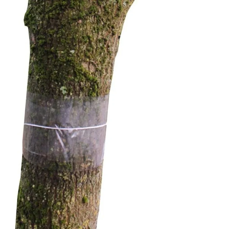 Glue Bands for Fruit Trees – Clear Glue Pest Bands