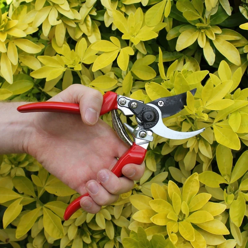 Left-Handed Pruner – Darlac DP631 Professional Garden Tool