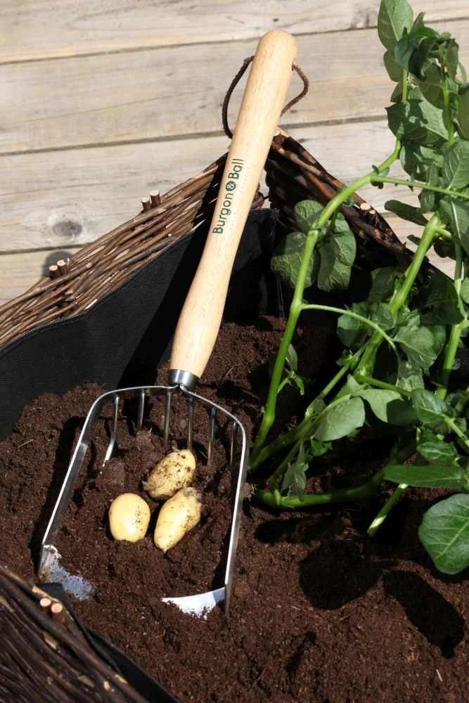 Garden Potato Harvesting Scoop