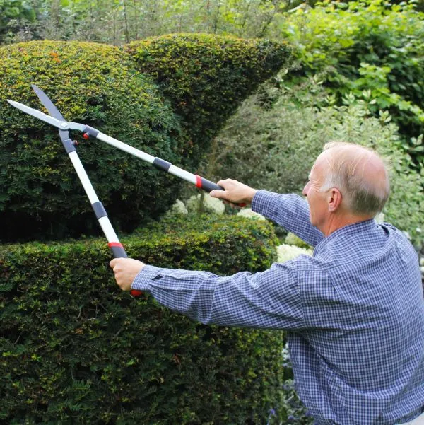 Telescopic Hedging Shears – Darlac DP810 Precision Trimming Tool