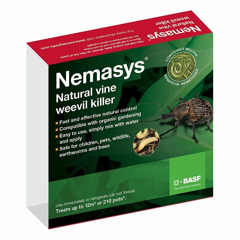 Nematodes for Vine Weevil Nemasys