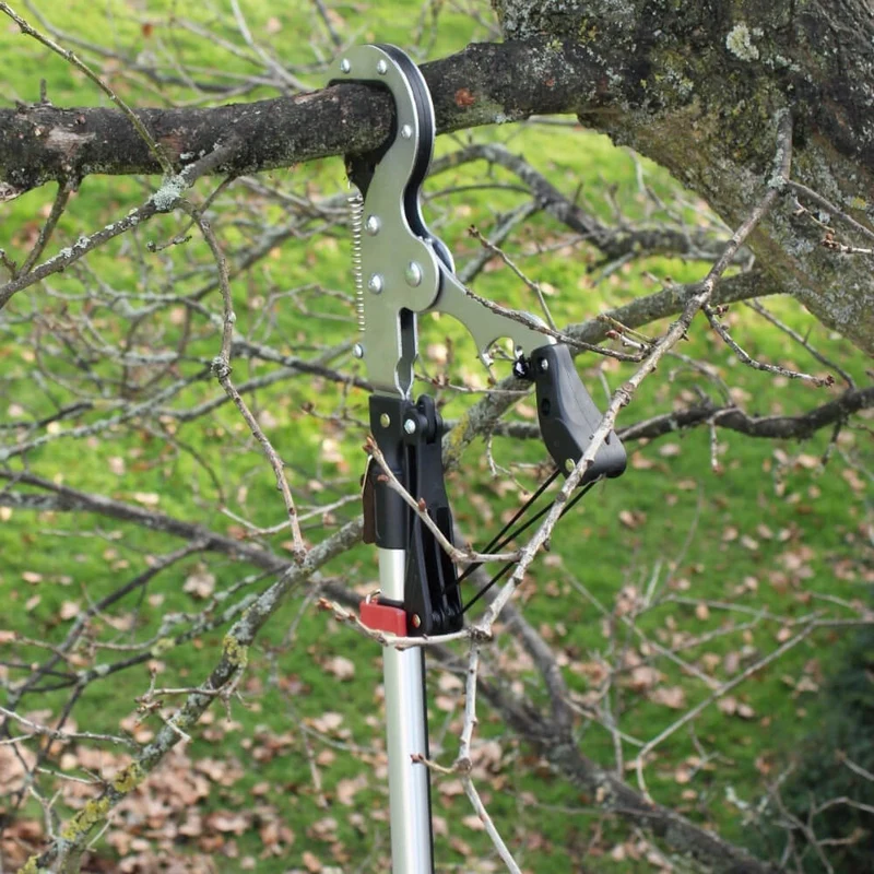 Expert Geared Anvil Tree Pruner DP1583