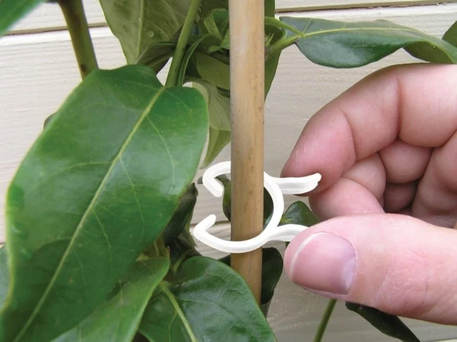Växtklämma Bio-Based 25st