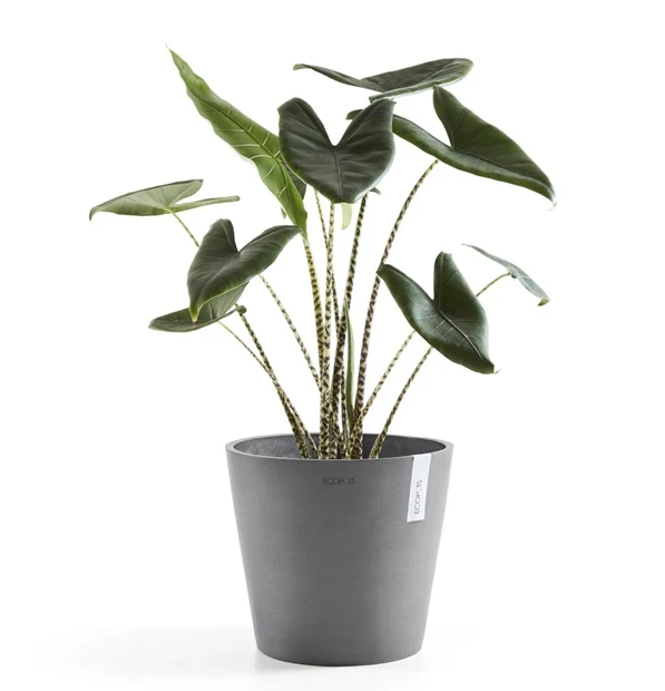 Kruka 'Amsterdam 30' Grey D30cm