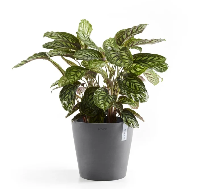 Kruka 'Amsterdam 40' Grey D40cm