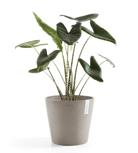 Kruka 'Amsterdam 40' Taupe D40cm