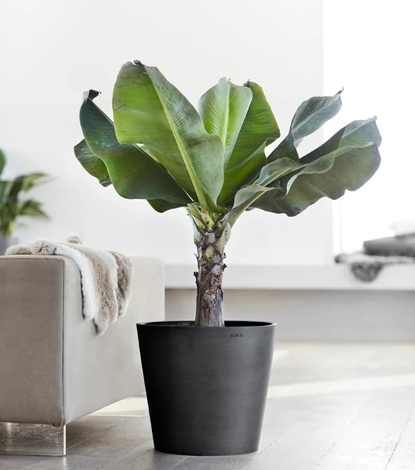 Kruka 'Amsterdam 50' Dark Grey D50,5cm