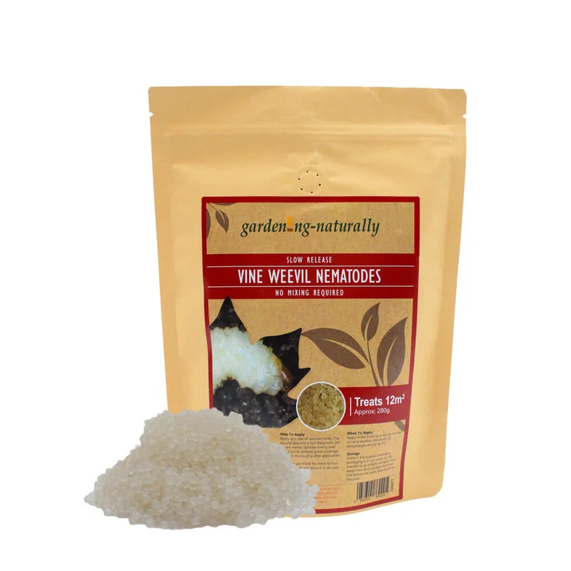 Long Life Vine Weevil Nematodes 280g (12m²)
