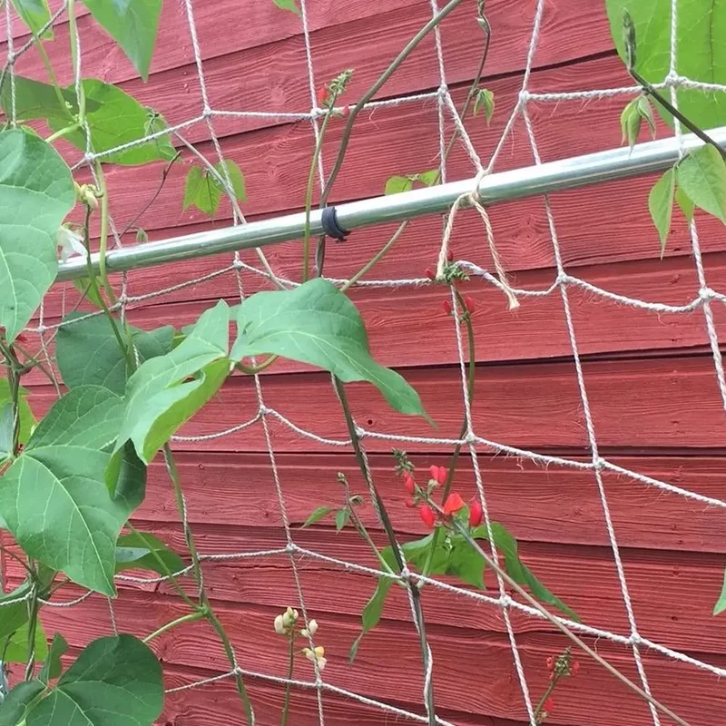 Jute Pea And Bean Netting For Climbing Plants Support
