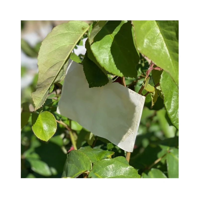 Predator Attractant Sachet for Aphid Control