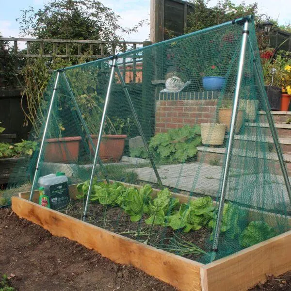 A-Frame Fruit and Vegetable Cage Alternative