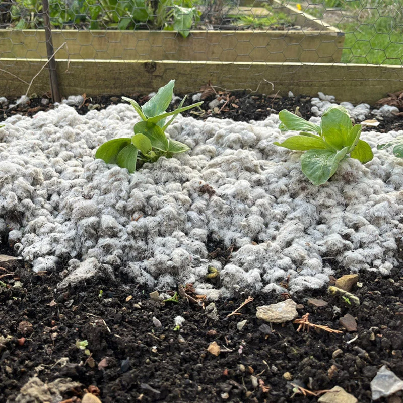 Wool Garden Mulch With Biochar For Soil Moisture And Weed Control - 50L