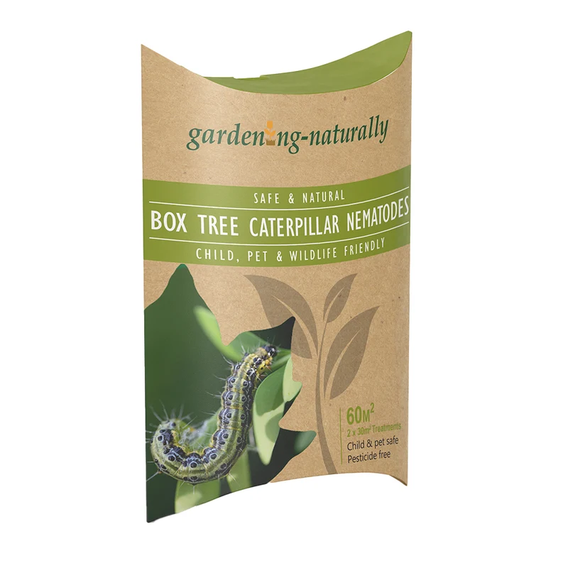 Box Tree Moth Caterpillar Control | Natural Garden Pest Nematodes