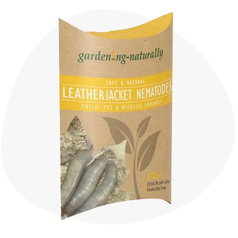Leatherjacket Nematodes Gardening Naturally 100m²