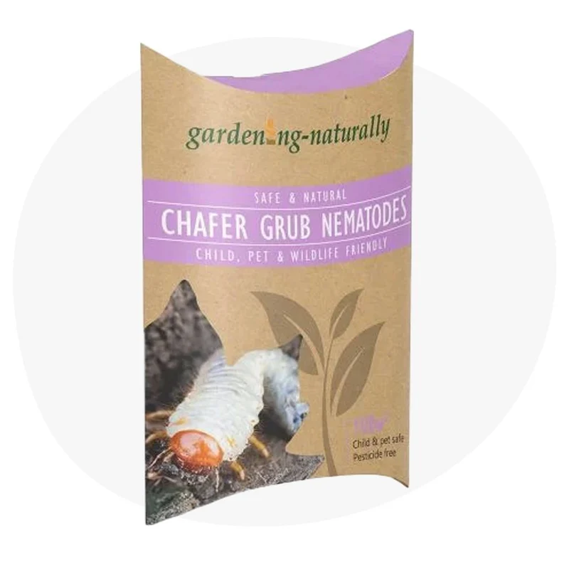 Chafer Grub Nematodes 100sqm