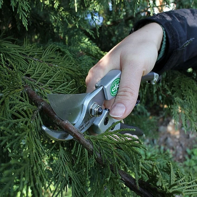 Compact Pruner – Darlac DP40 Lightweight Garden Tool