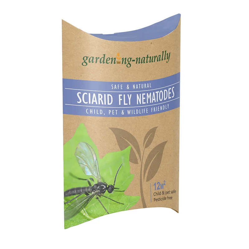 Sciarid Fly Nematodes – Treat Fungus Gnats (12 sq.m Coverage)
