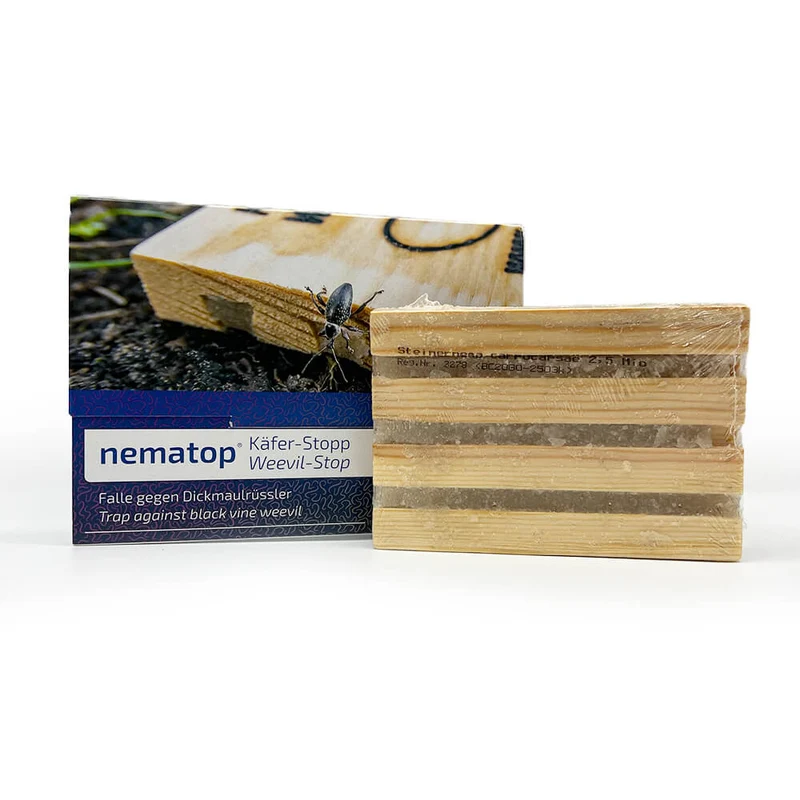 NemaTop Adult Vine Weevil Trap With Nematodes