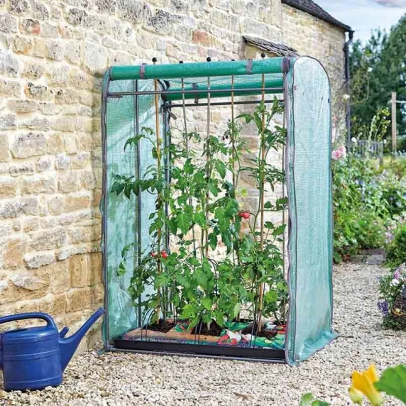 Tomato GroZone Max – Double-Sided Greenhouse for Tomatoes