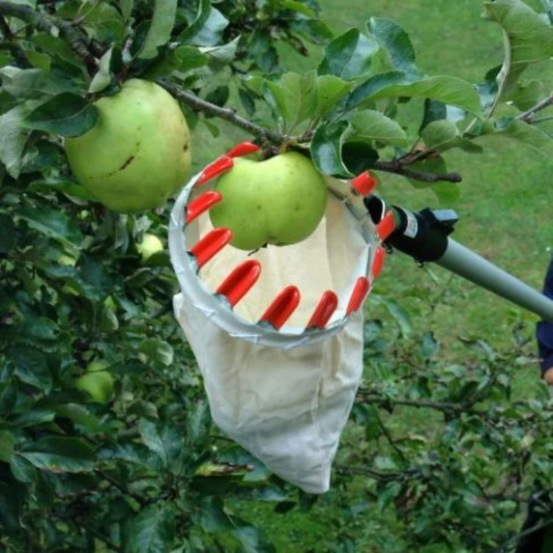 Swop Top Set – Fruit Picking & Pruning Kit