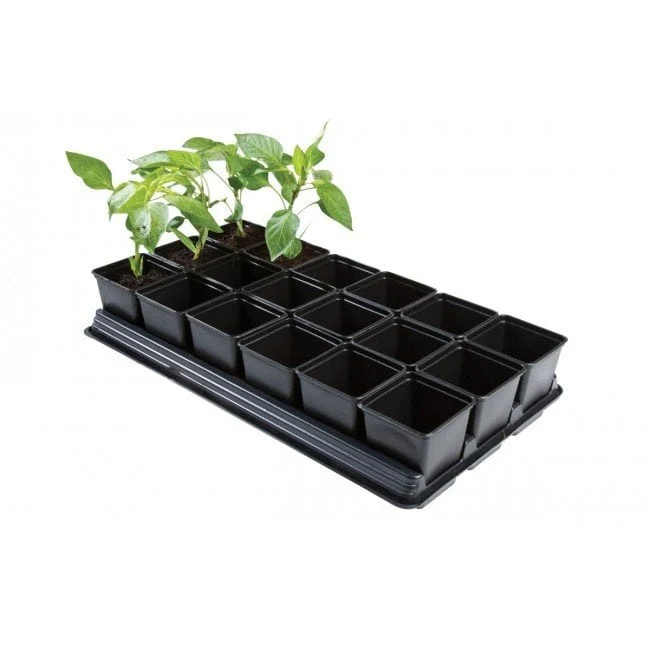 Vegetable Growing Tray (18 x 9cm)